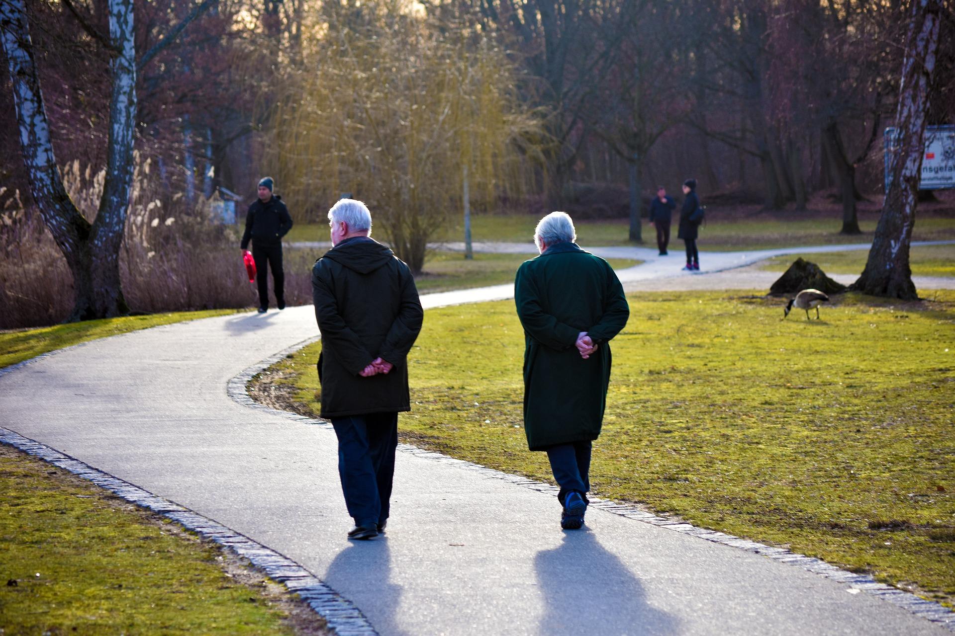 Прогулка в осеннем лесу пенсионеры