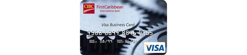 Visa Business-1