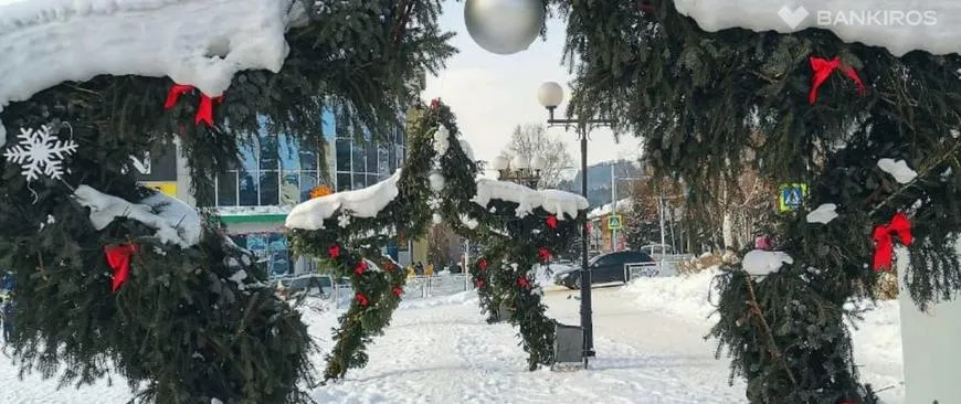 В Челябинской области елку для города Миньяр без разрешения срубили с участка местной жительницы