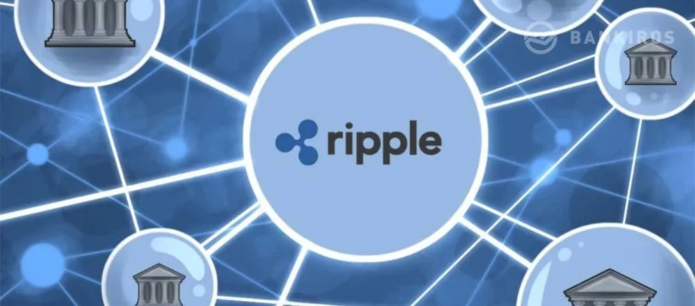 Удобно, безопасно или быстро. Где хранить Ripple