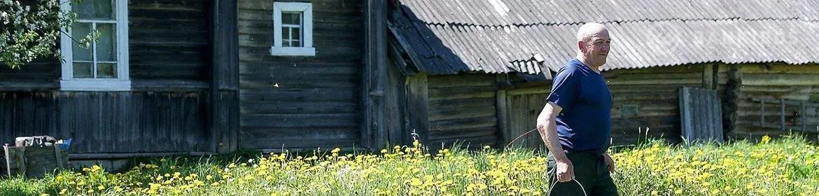 В Кадастровой палате пояснили, кого коснется дачная амнистия