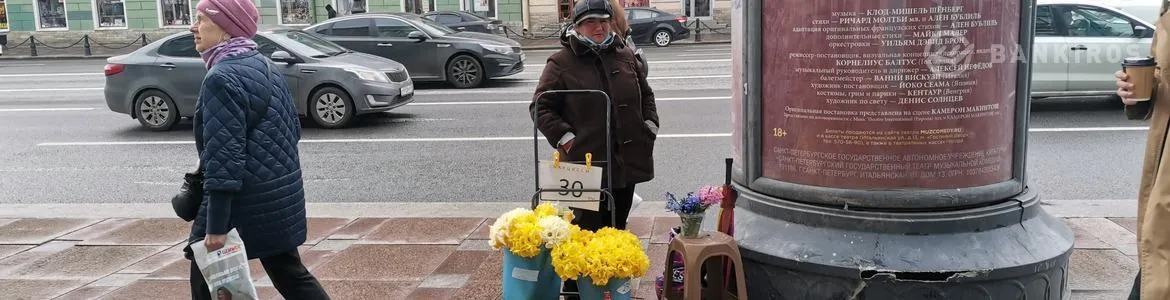 В Госдуме объяснили, как изменятся правила начисления социальных доплат к пенсиям в 2022 году