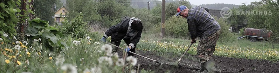 Новые налоги и лицензии. Как изменится жизнь дачников в этом году?